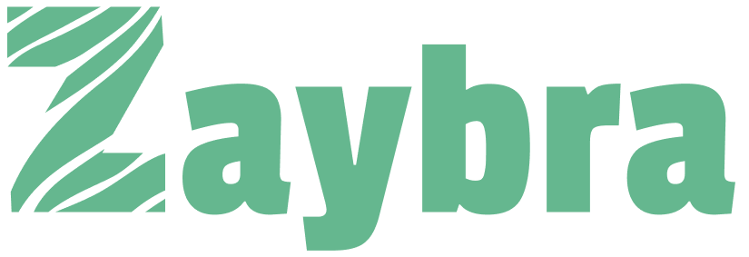 Zaybra Word Mark - Newly Minted-1